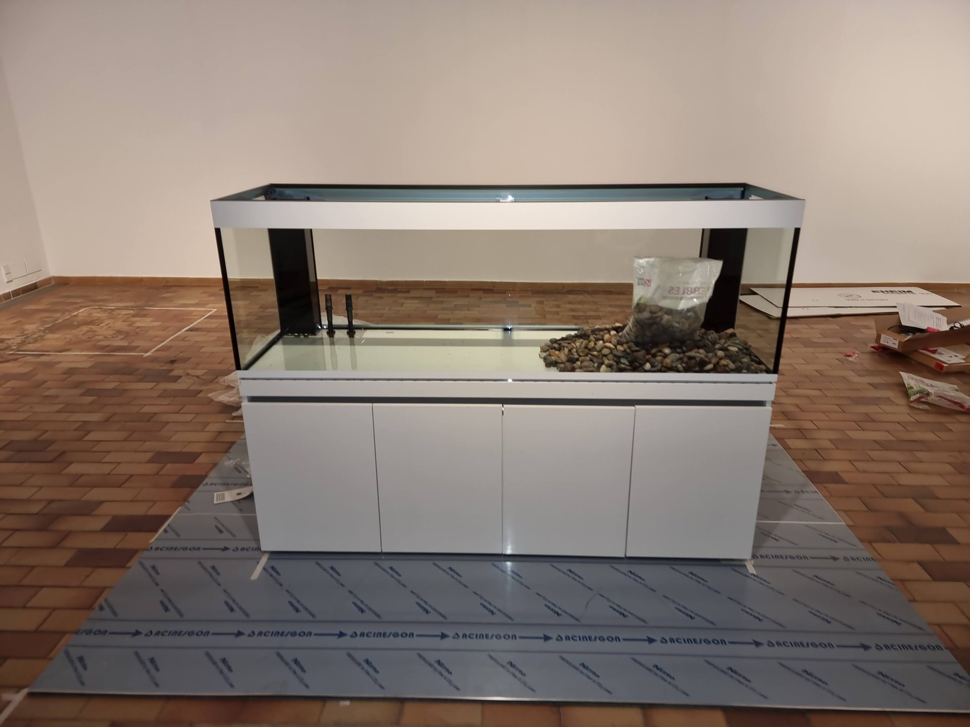 Acuario de la exposición de Paul Klee en la Fundació Joan Miró