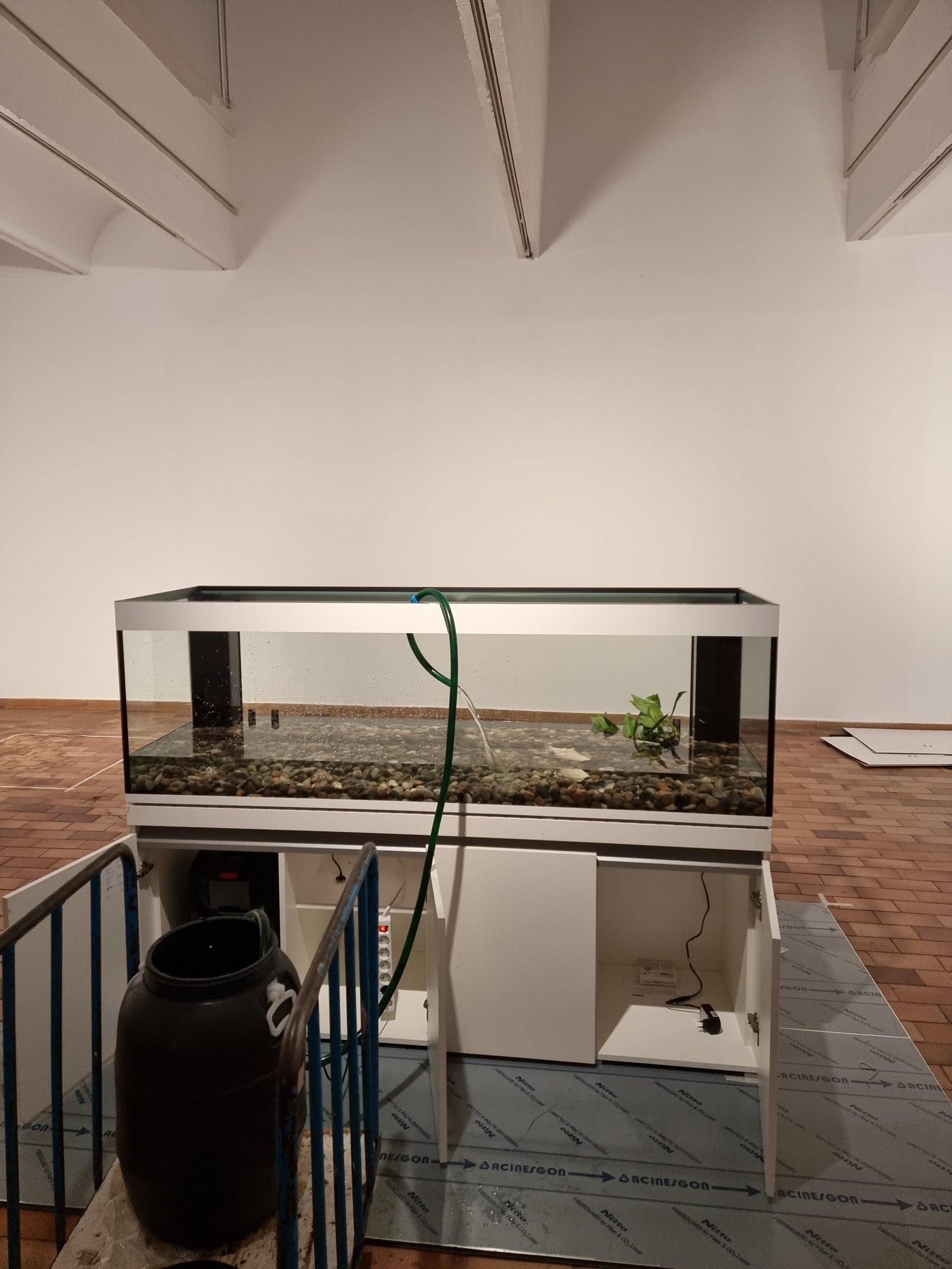 Detalle del acuario de agua fría con mueble metálico brillante