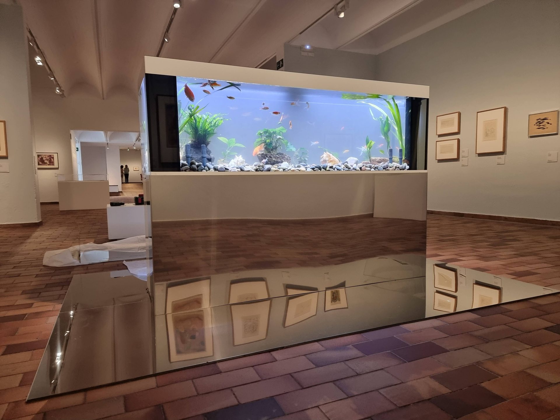 Acuario reflejando la sala de exposición en la Fundació Joan Miró