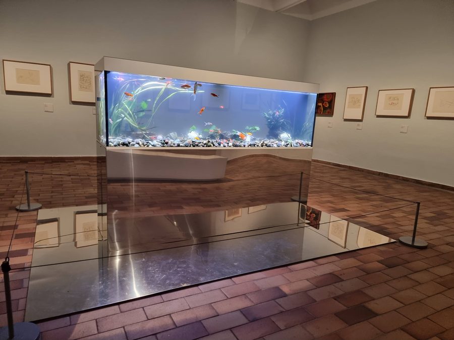 Gran acuario de agua dulce instalado en una sala de exposición