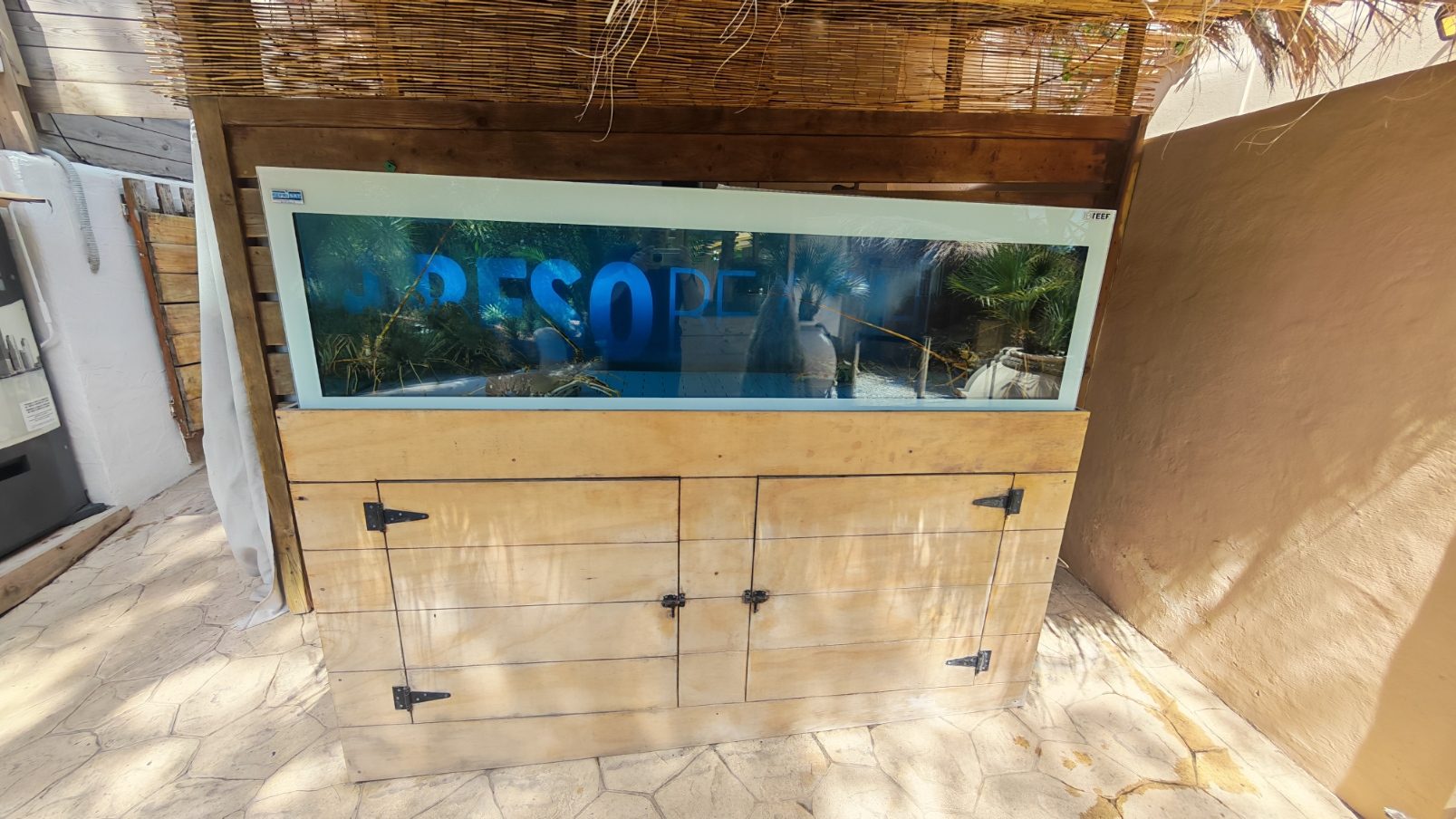 Vivero de marisco con vinilo de ondas y logotipo retroiluminado en Beso Beach Ibiza