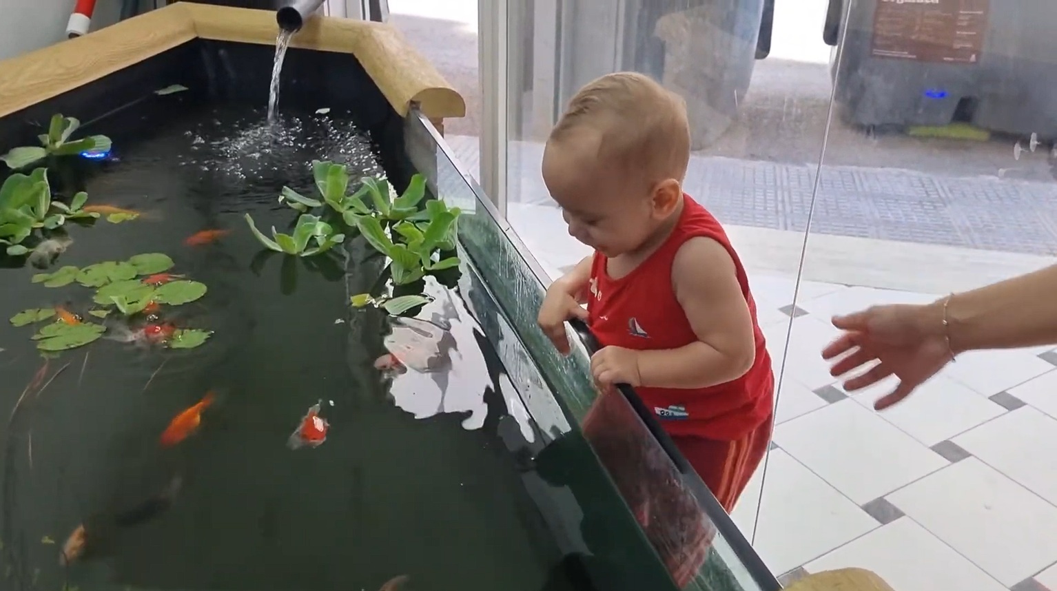 Liam beim Betrachten der Fische