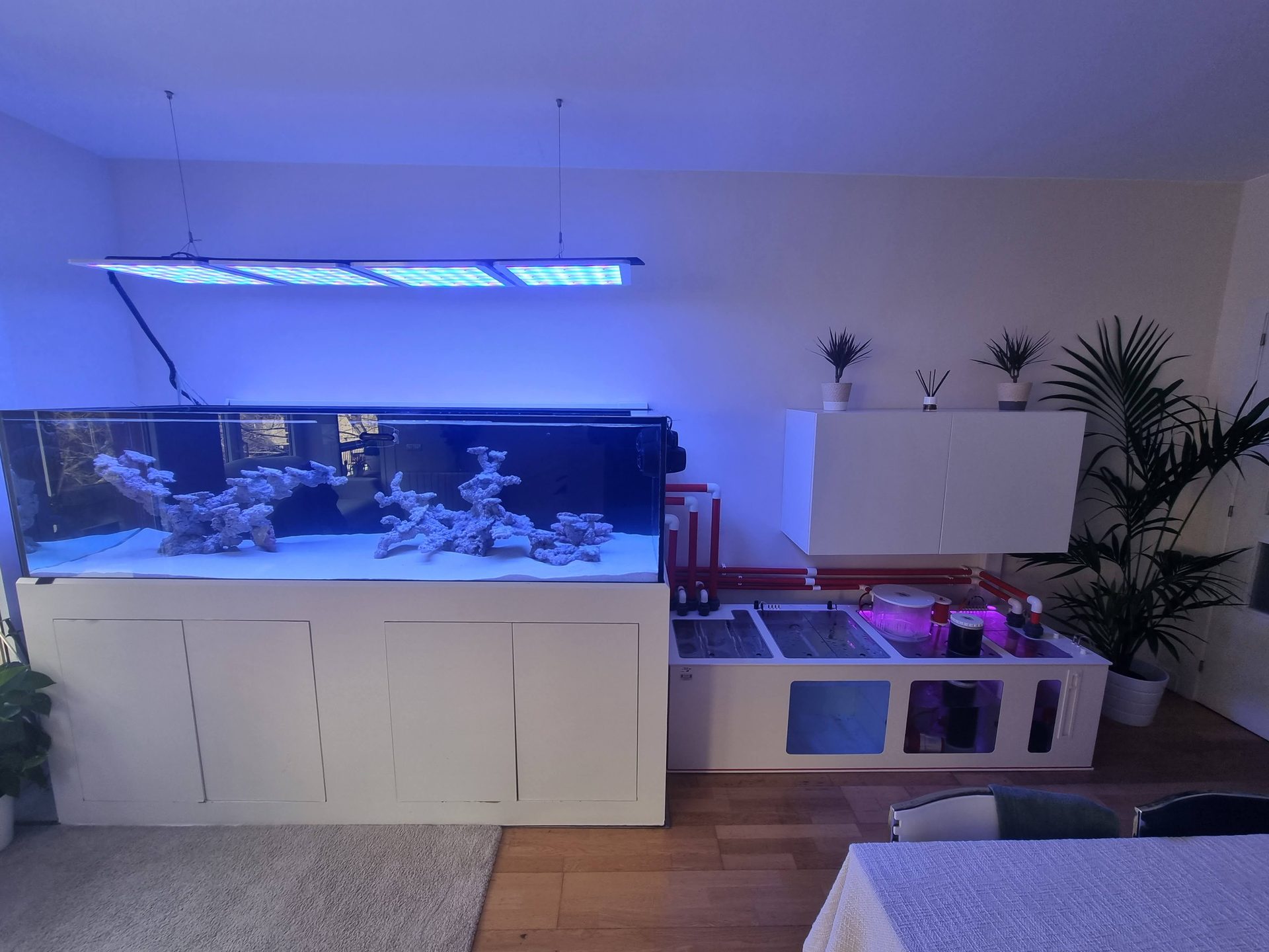 Acuario privado de arrecife