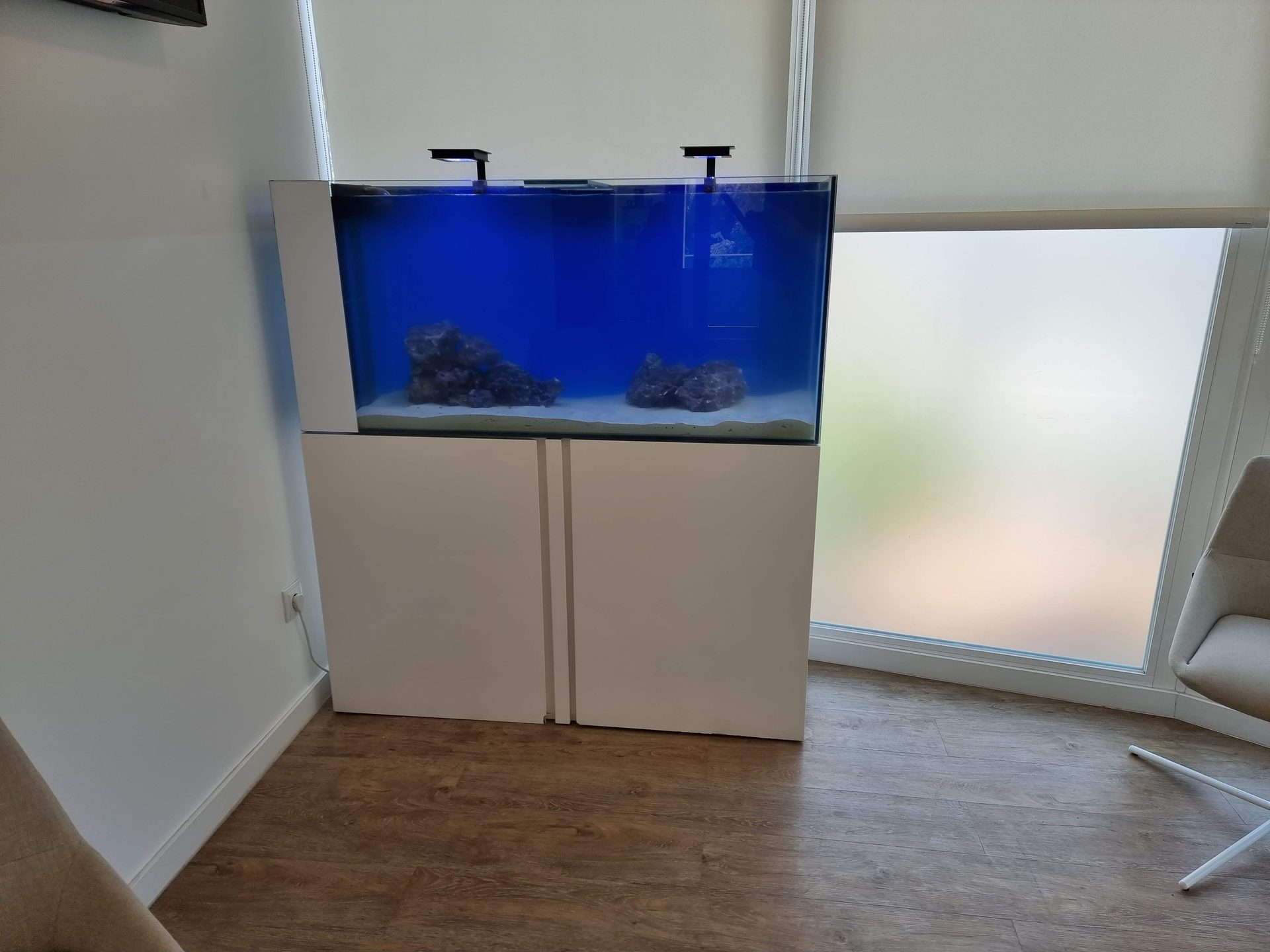 Acuario caballitos=