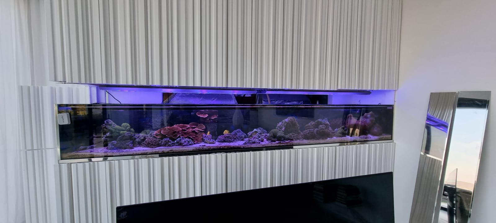 Acuario arrecife