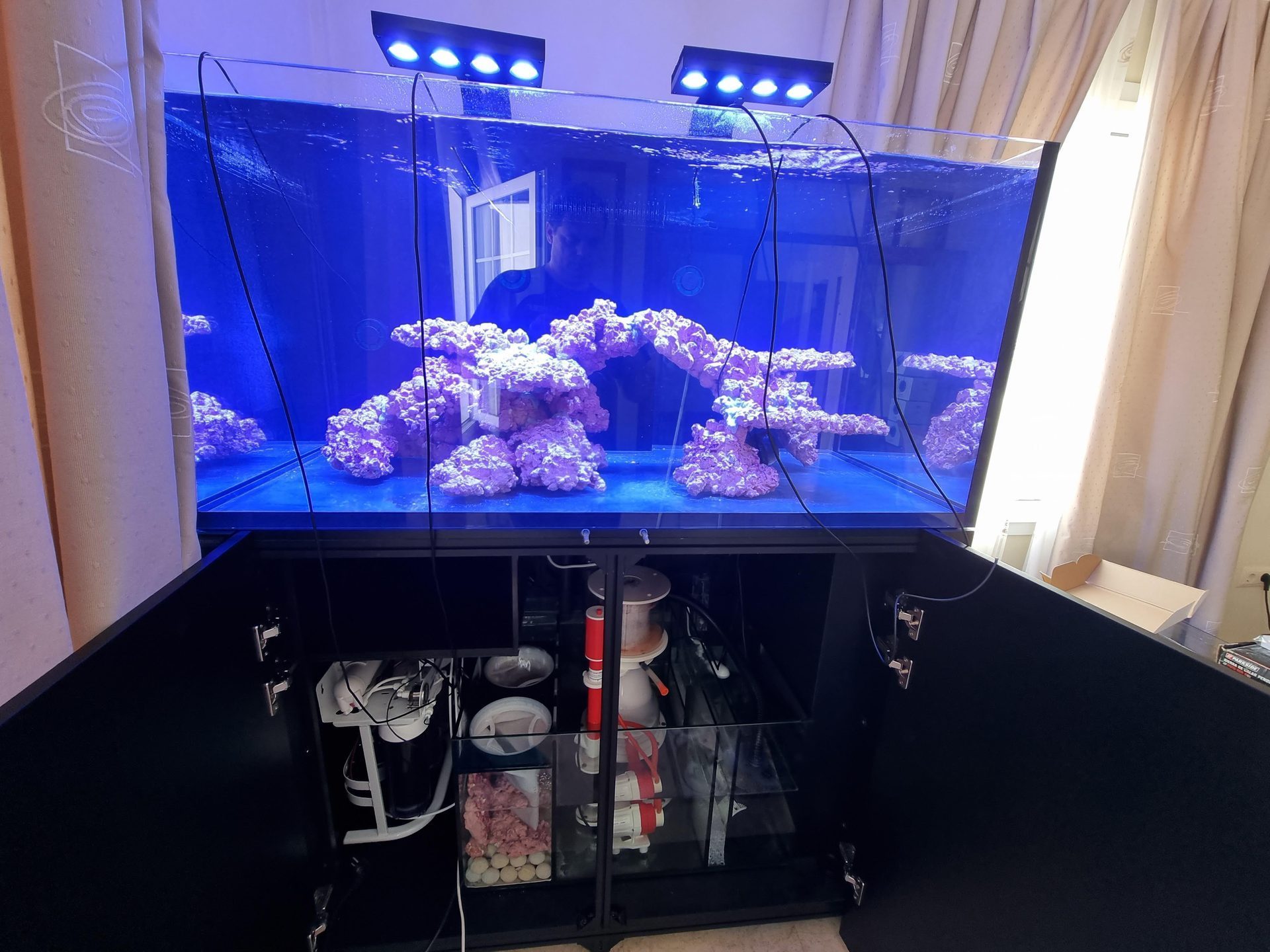 Acuario arrecife
