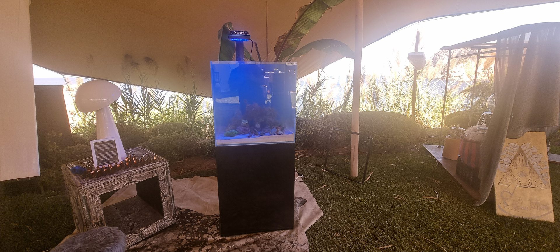 Acuario alquiler=