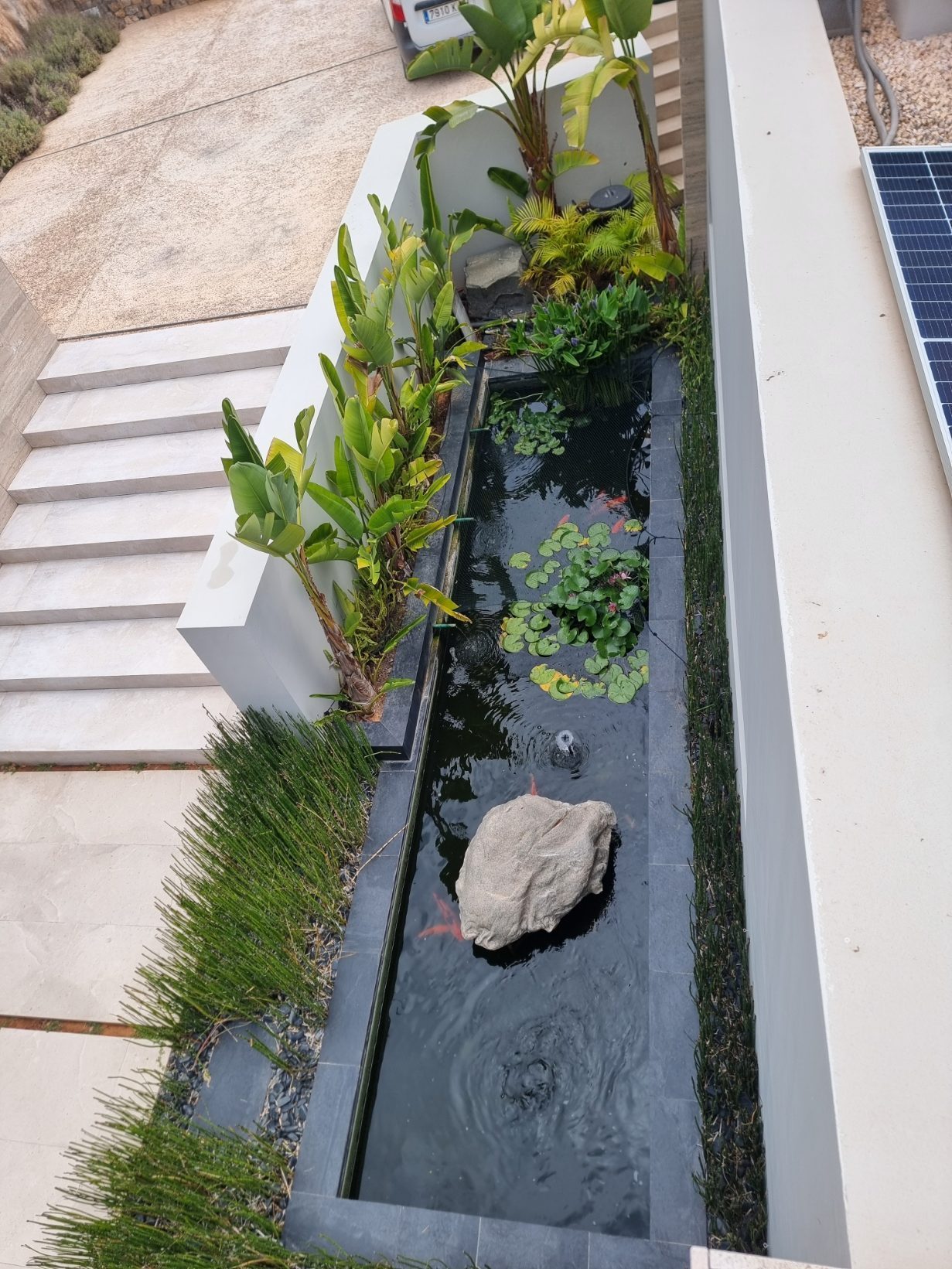Estanque zen