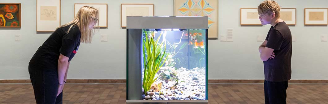 Kind betrachtet blau beleuchtete Quallen in einem Aquarium