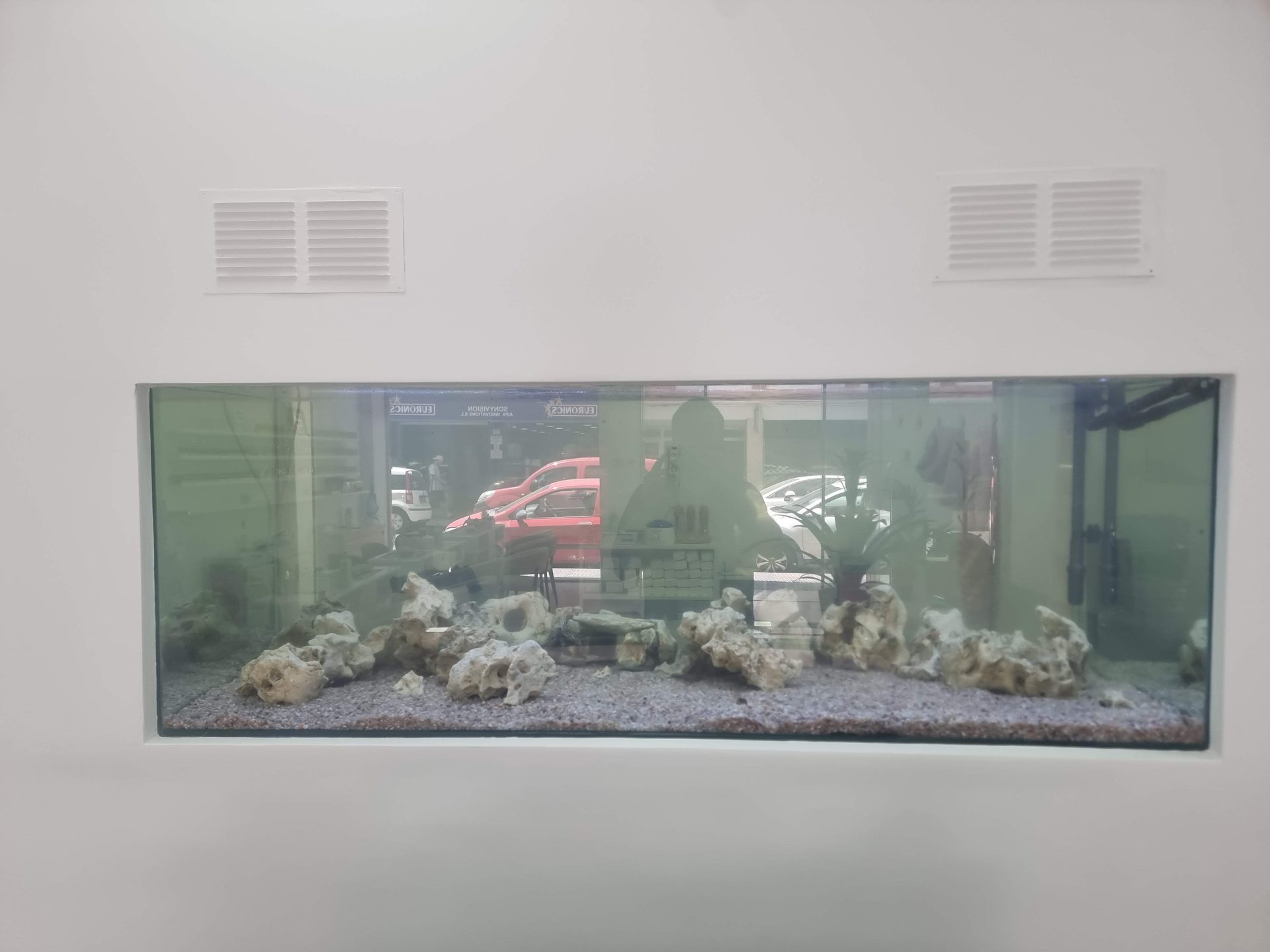 Acuario