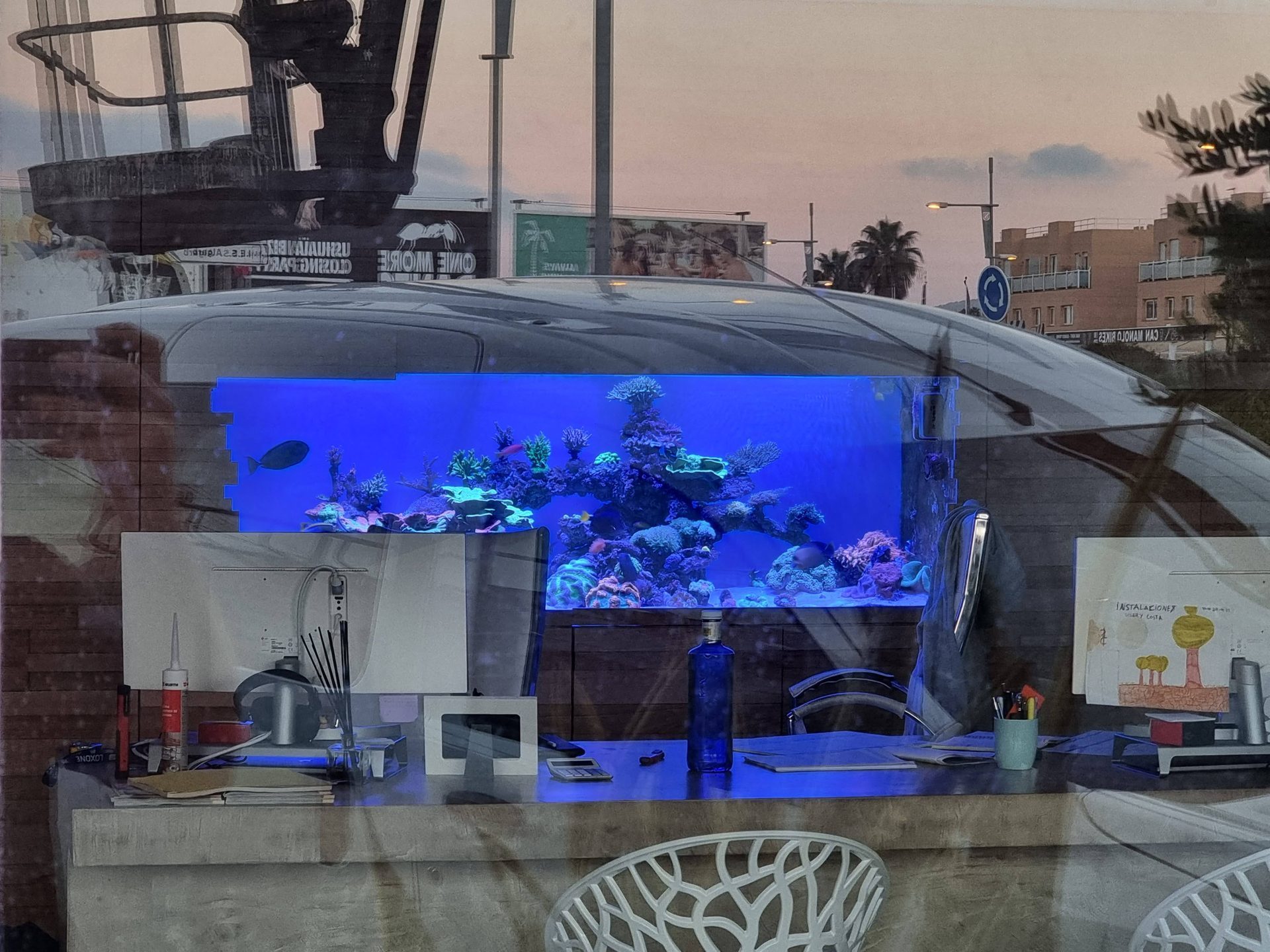 Acuario marino de arrecife con corales y peces payaso, cirujano y tang amarillo